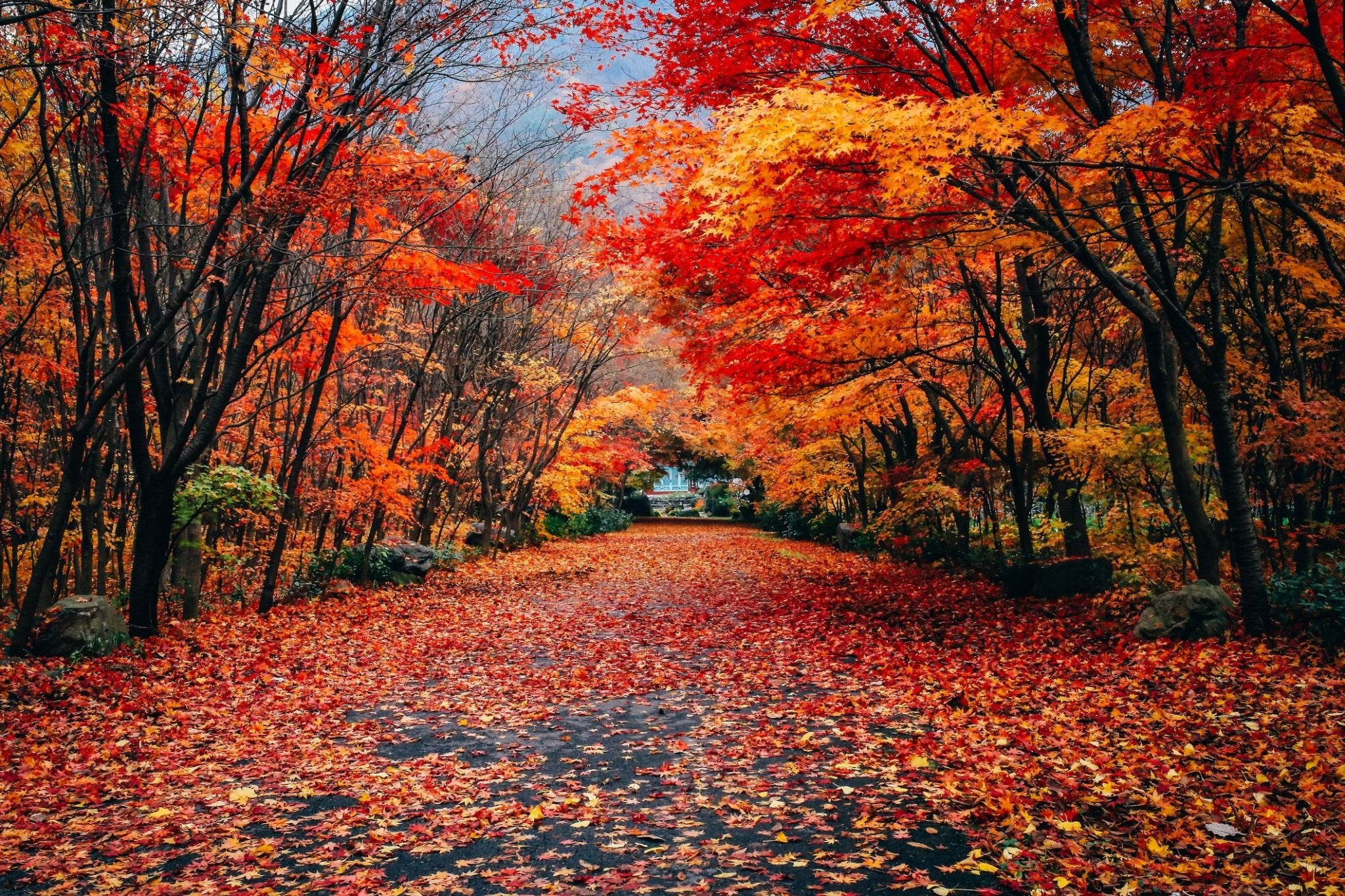 Fall into Fun: Planning Holiday Memories for Families - Duncan & Stone Paper Co.