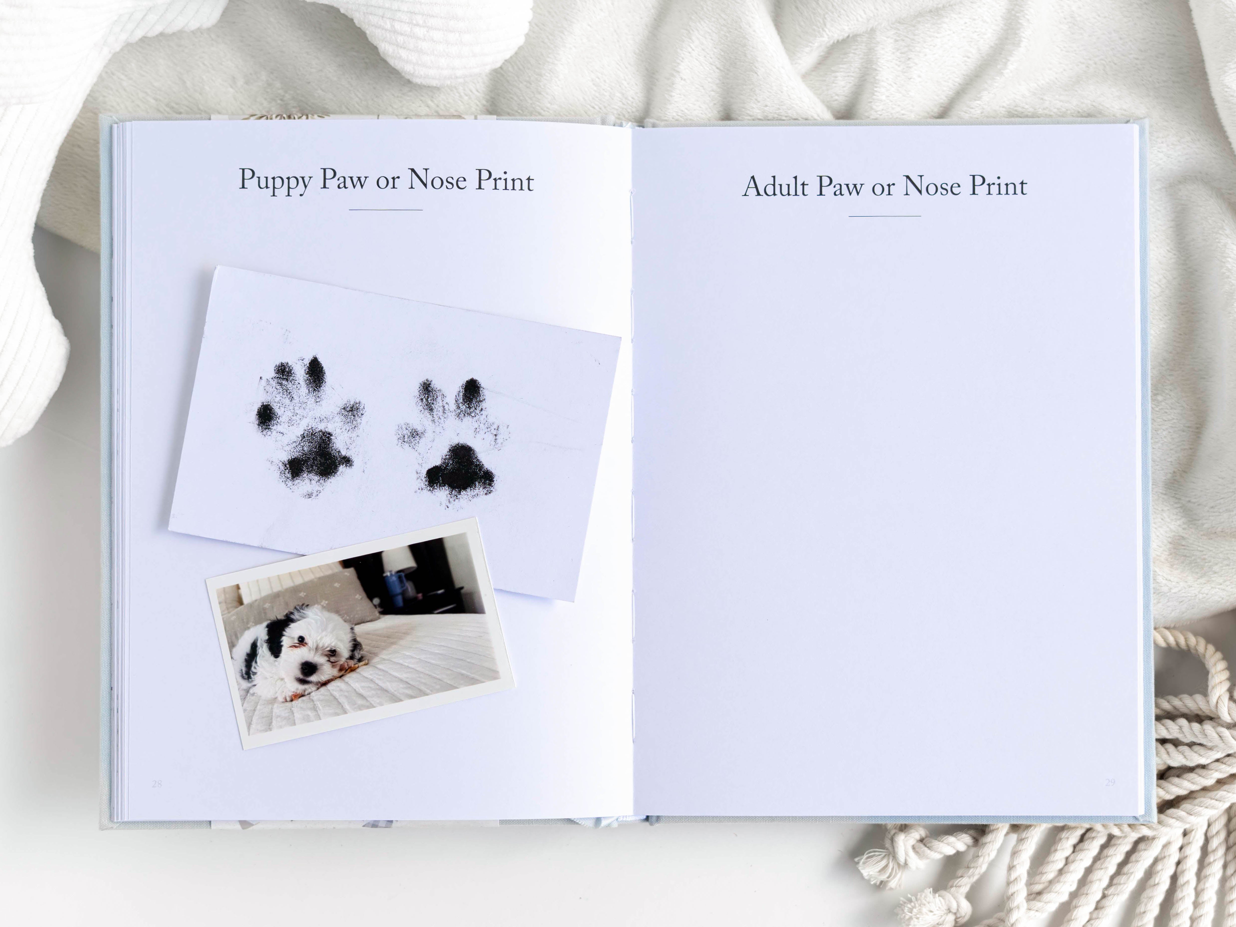 A Dog’s Life: Dog Memory Book