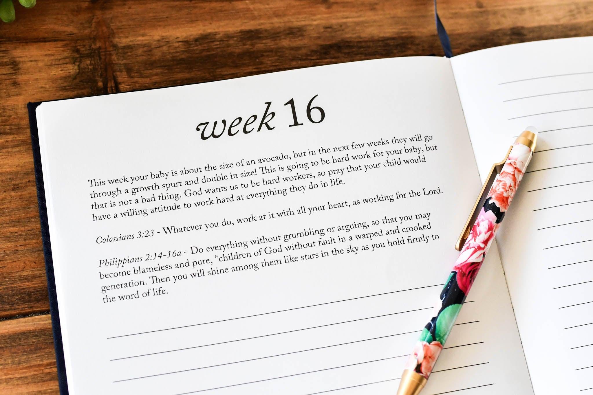 Dear Baby: Pregnancy Prayer Journal - Duncan & Stone Paper Co.