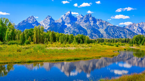 Our Amazing 17 Day Summer Road Trip