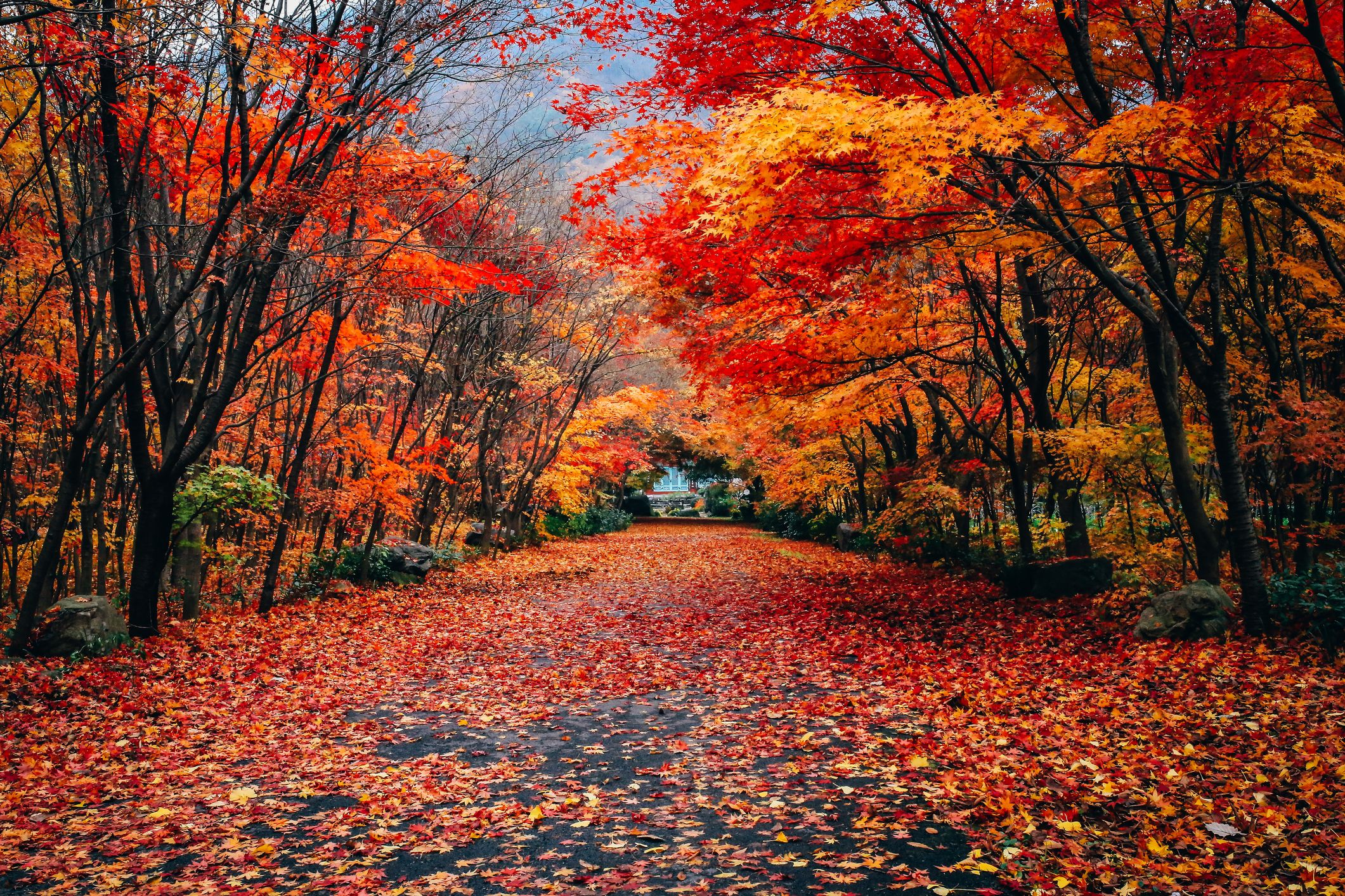 Fall into Fun: Planning Holiday Memories for Families