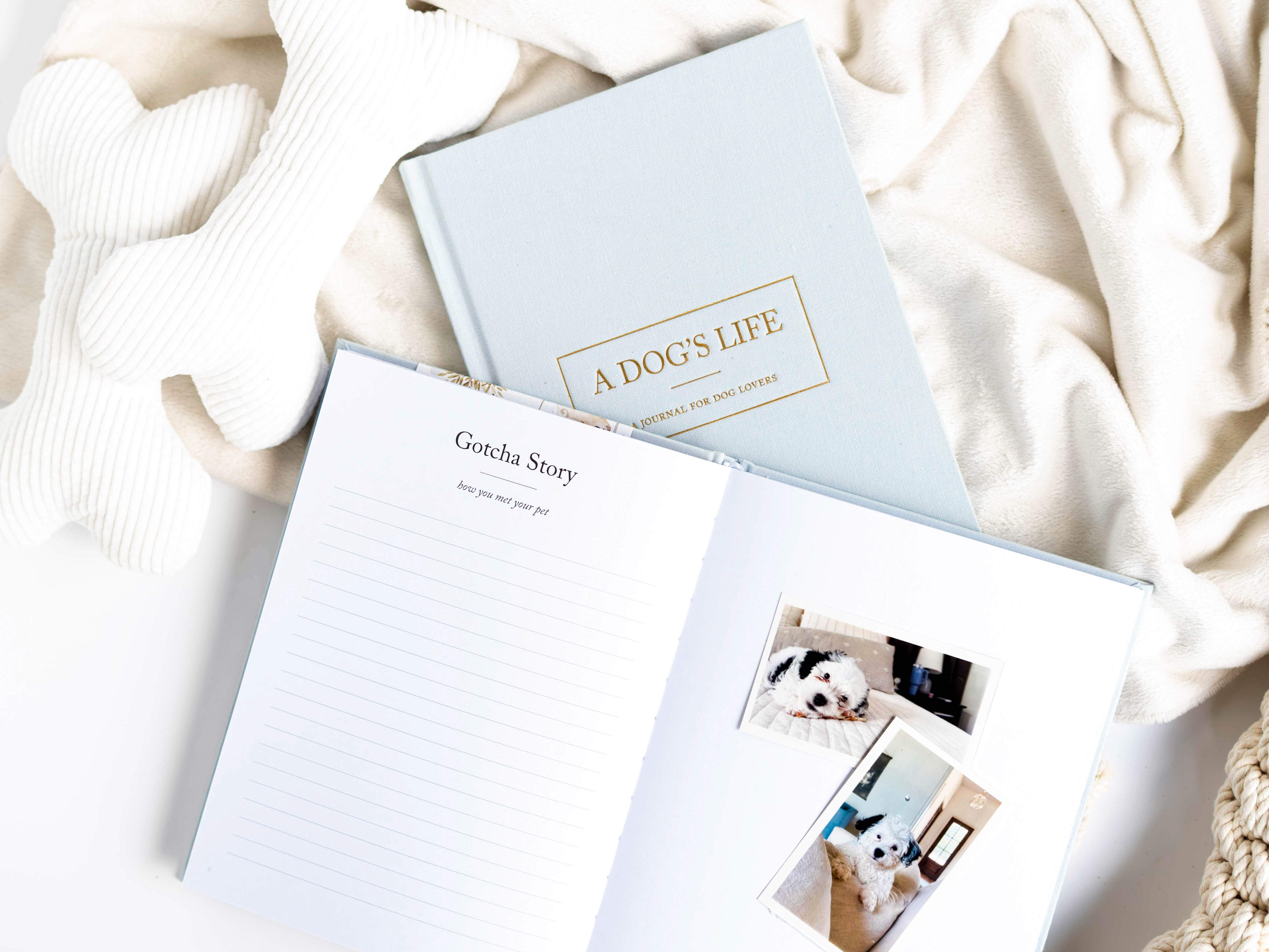Journal