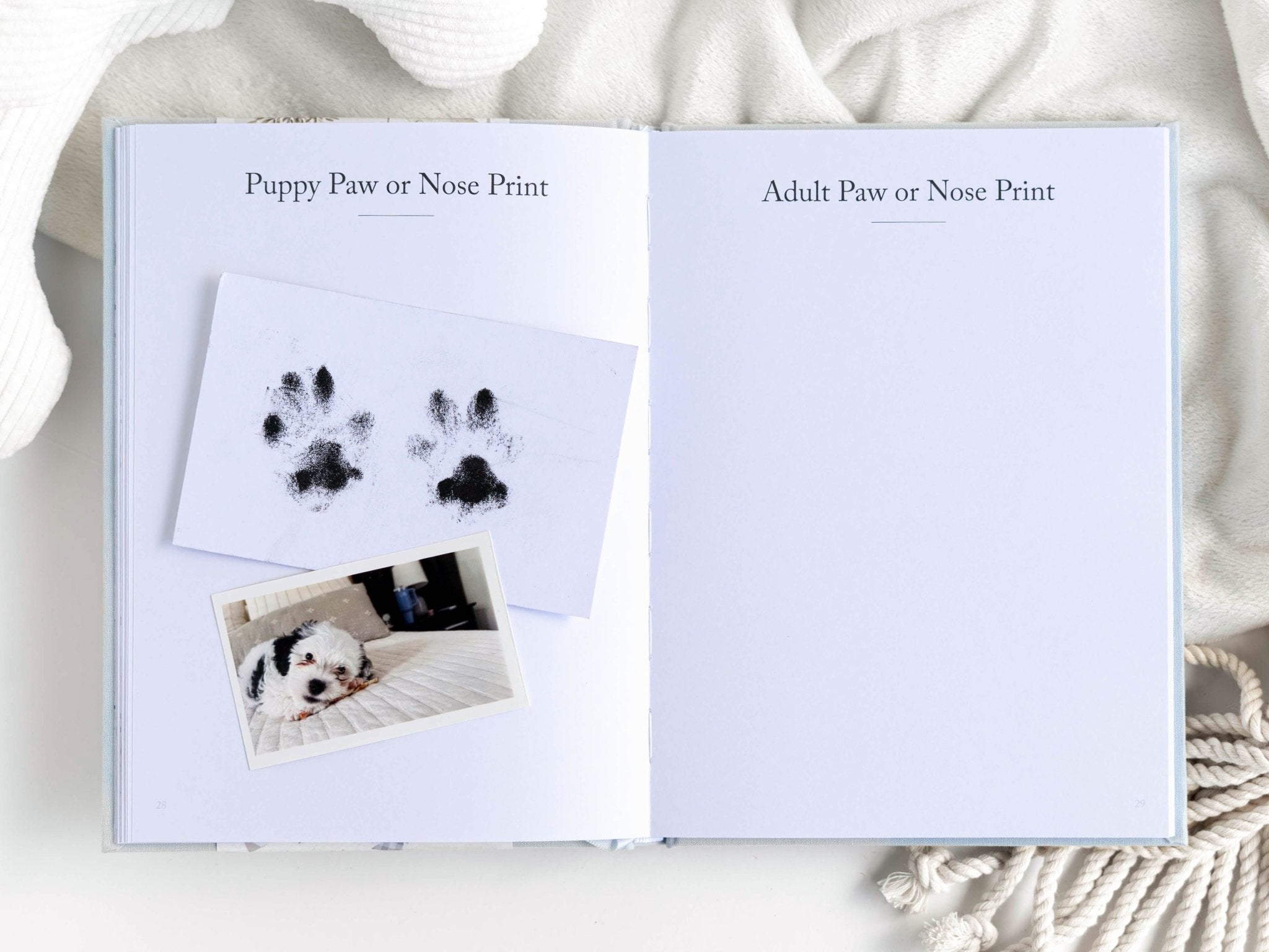 A Dog’s Life: Dog Memory Book - Duncan & Stone Paper Co.