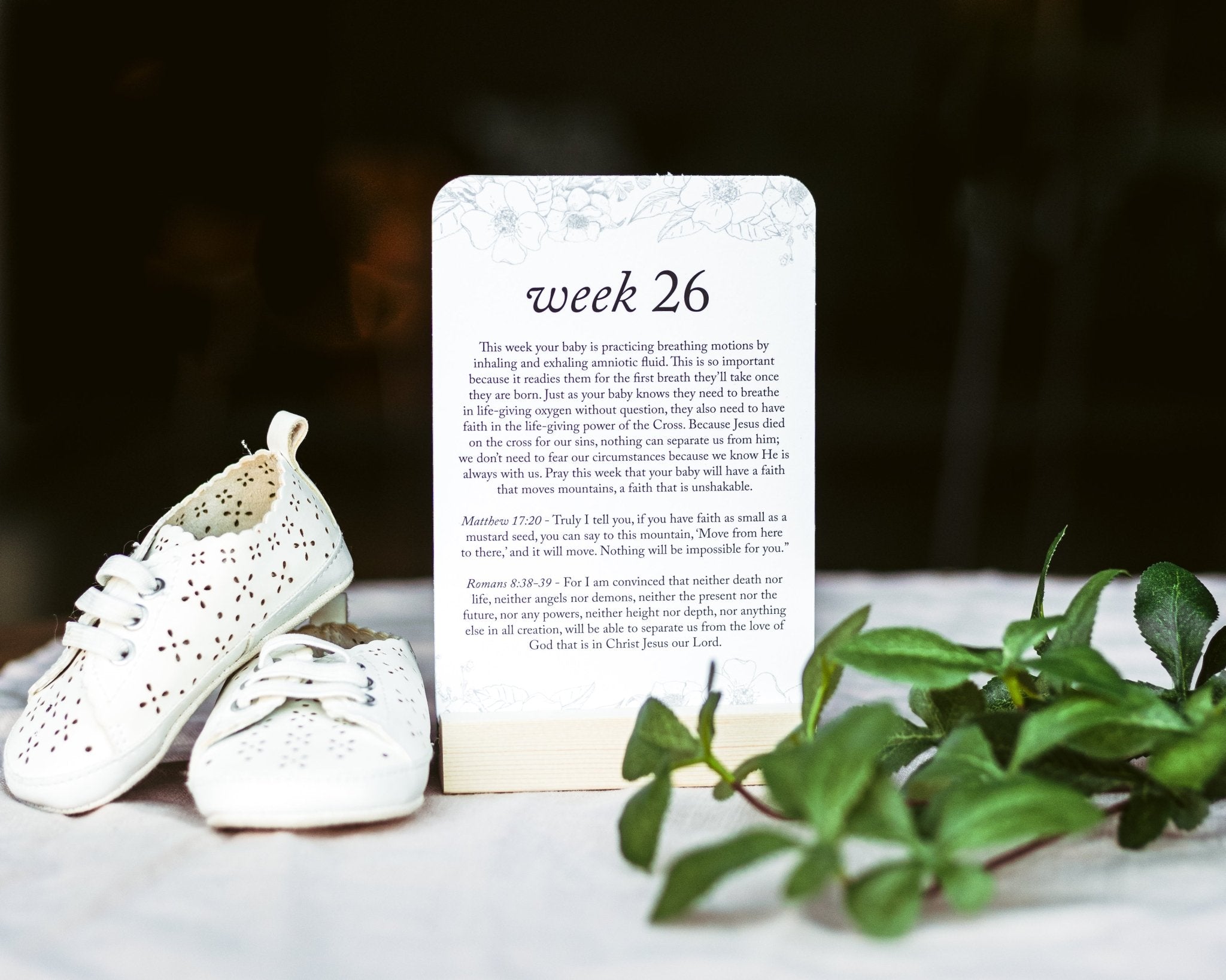 Pregnancy Prayer Cards - Duncan & Stone Paper Co.