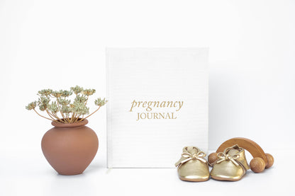 Pregnancy Journal