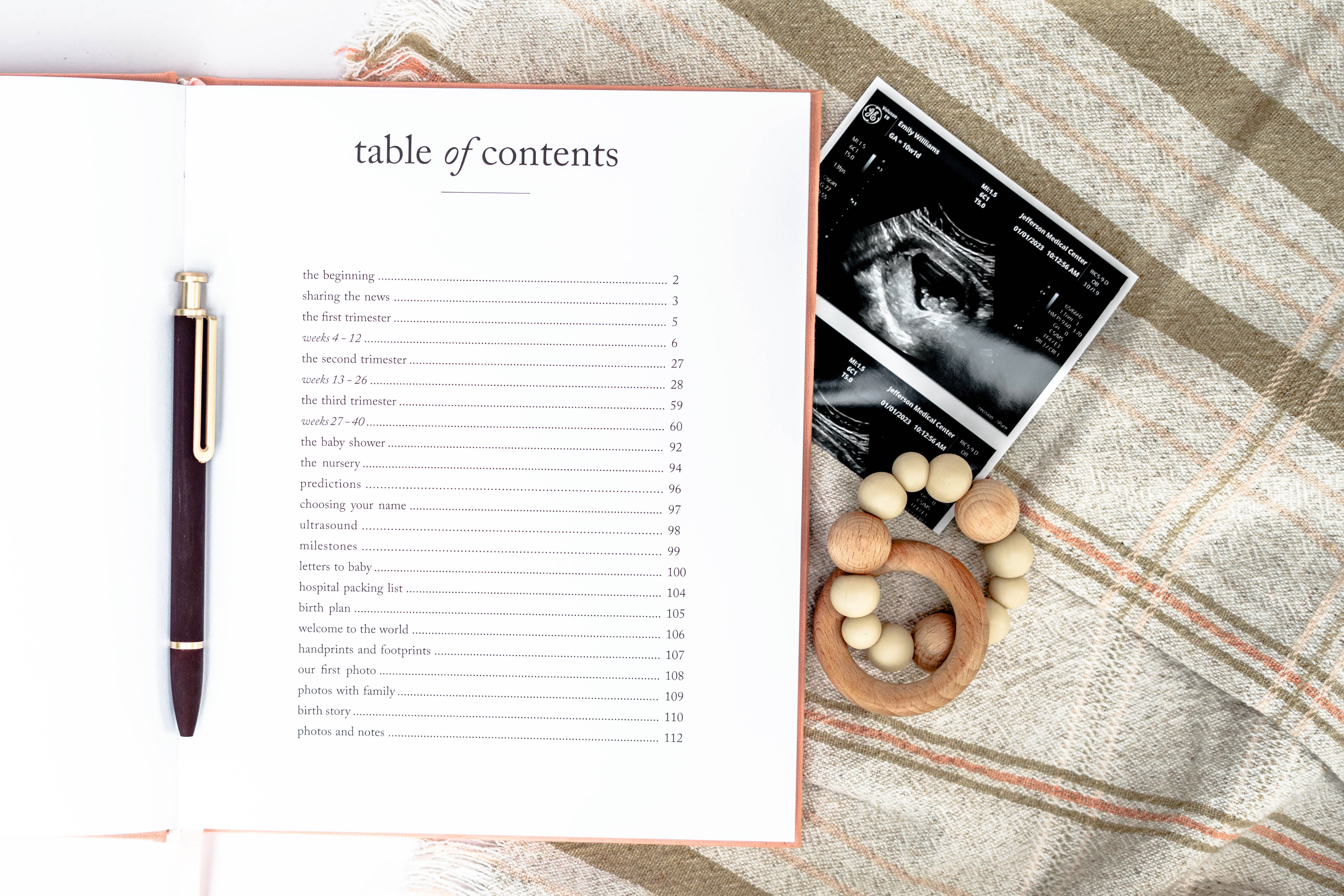 Pregnancy Journal