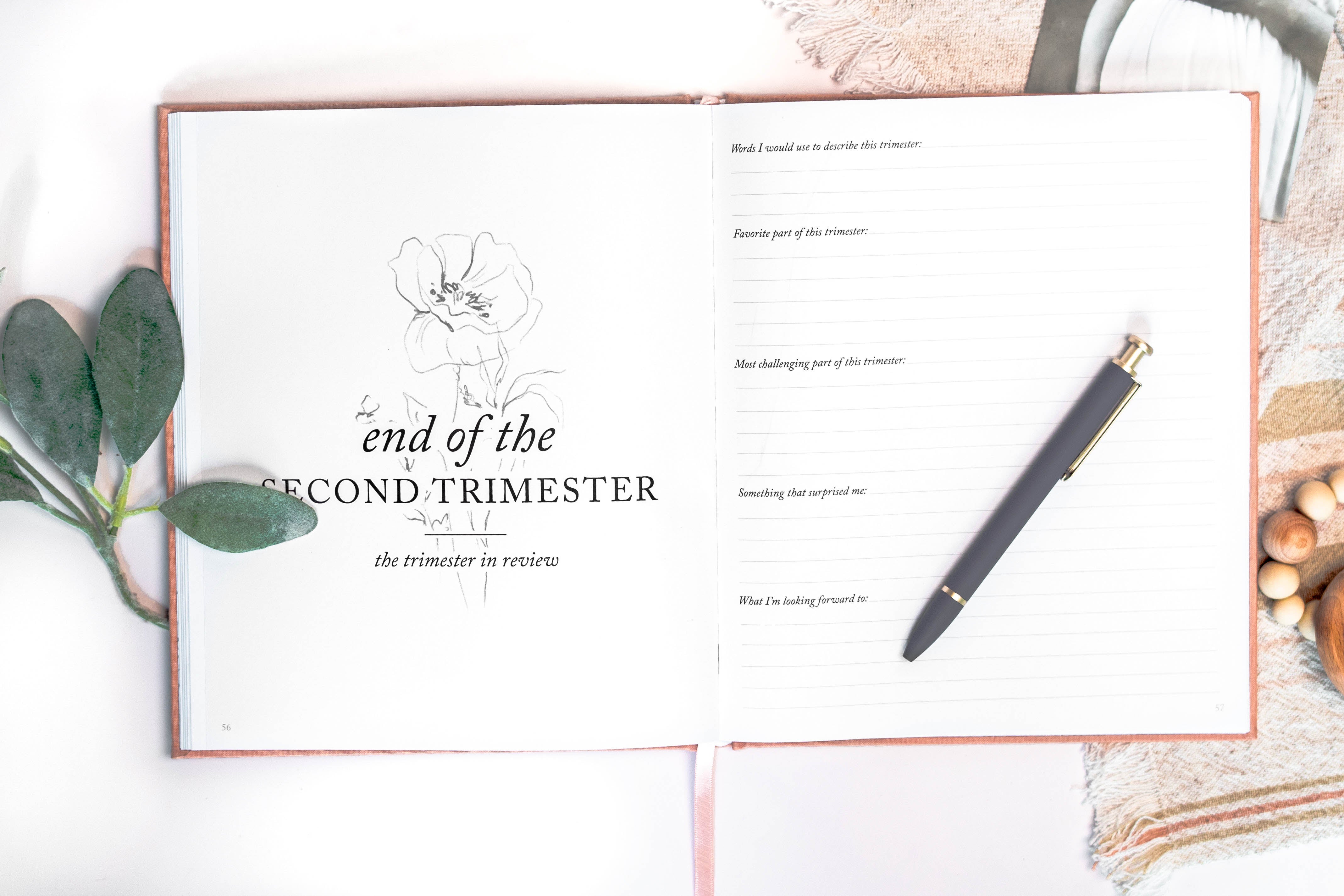 Pregnancy Journal