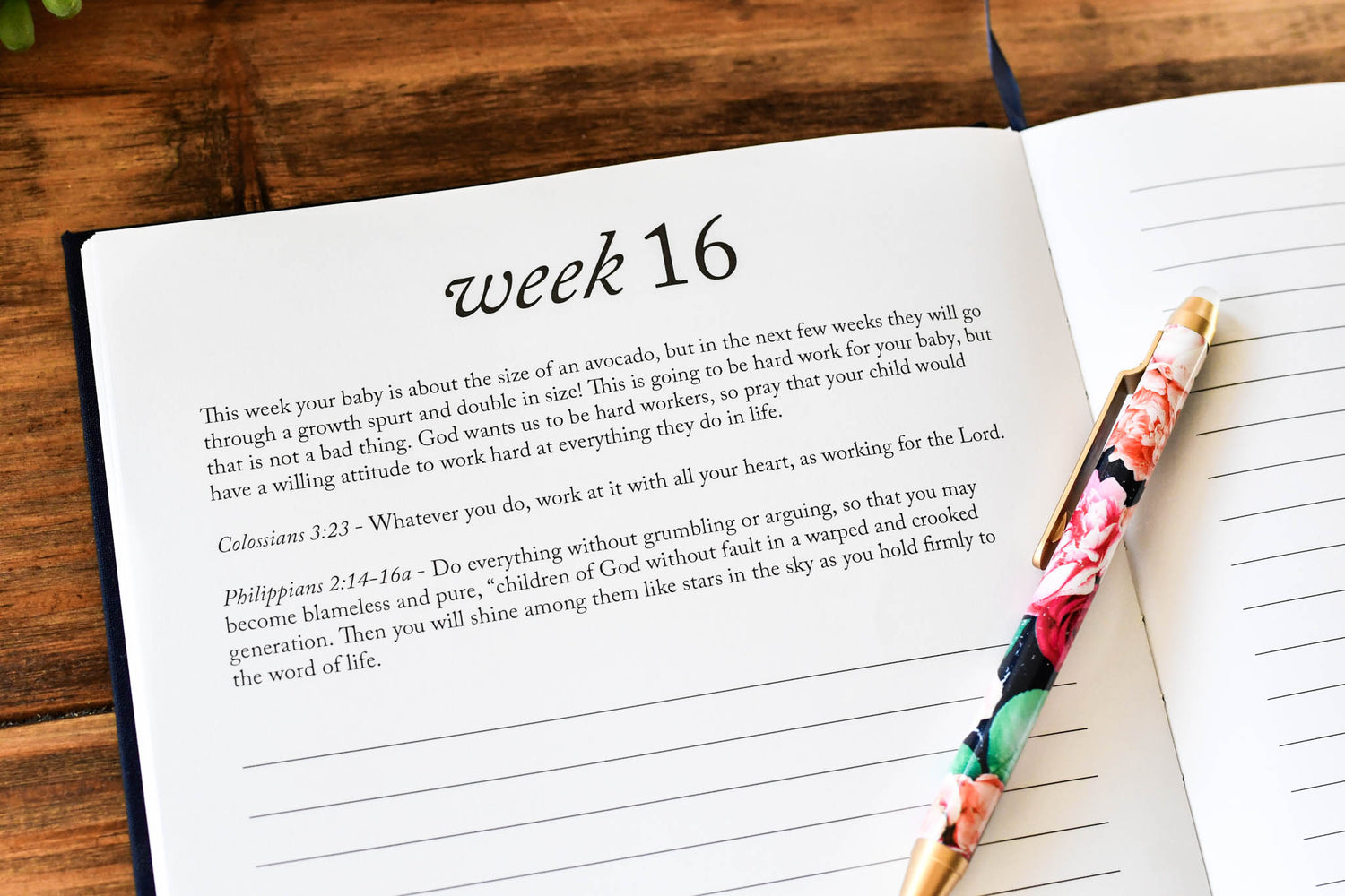 Prayer & Pregnancy Journal | Duncan & Stone Paper Co.