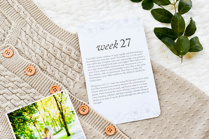 Pregnancy Prayer Cards by Duncan & Stone | Expecting Mom Gift Basket | Baby Announcement | Baby Shower Present | Prompted Prayer Cards for Parents to Be | Thoughtful and unique gift | Weekly Prompted Prayers for your Growing Baby