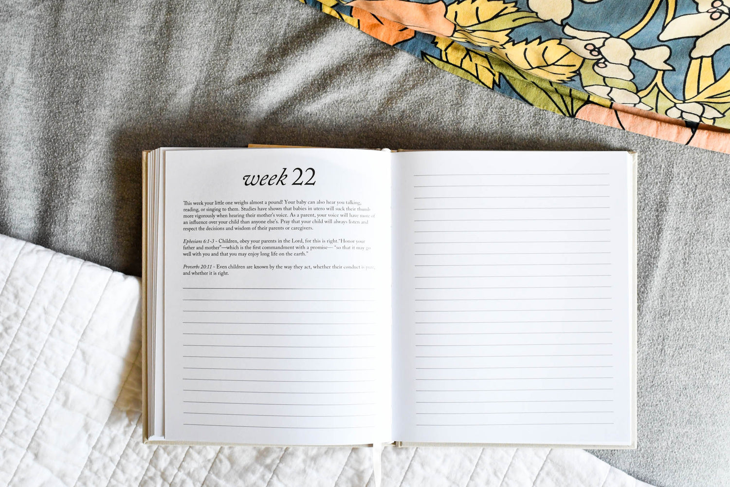 Gift for Pregnancy - Journal & Milestone Cards | Duncan & Stone